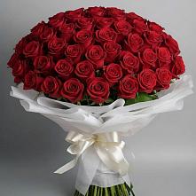 Букет 101 Красная роза Блэк Мэджик в Яр Удмуртия