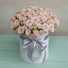 Цветочная композиция из Розы в шляпной коробке #REPLACE_PRED# Яр Удмуртия