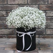 Цветочная композиция из Гипсофила в шляпной коробке в Яр Удмуртия