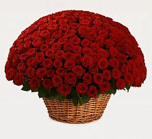 Премиум букет из: Розы в Яр Удмуртия